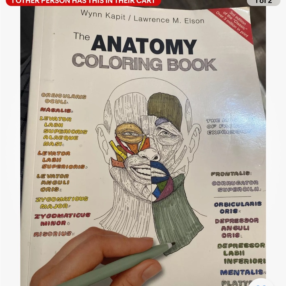 Anatomy colouring book human body